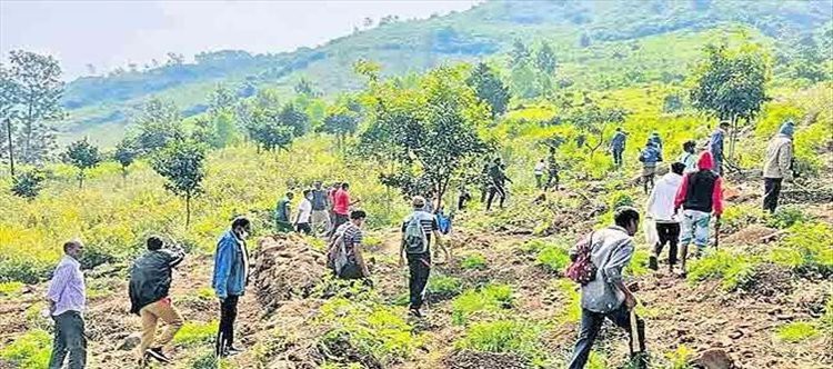 గంజాయికి చెక్..