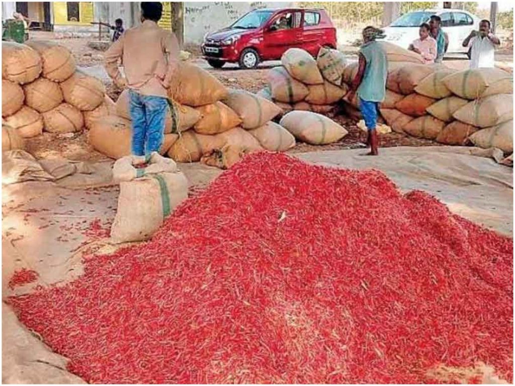 ఆందోళనలో ఖమ్మం మిర్చి రైతులు