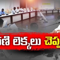 ధరణిపై సమగ్ర విచారణ