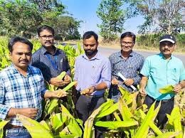 అర్మూర్ పసుపుకు జీఐ ట్యాగ్...