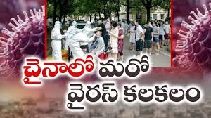 చైనా నుంచి మరో వైరస్