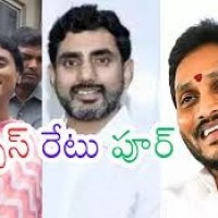 వారసుల సక్సెస్ రేటు ఎంత...