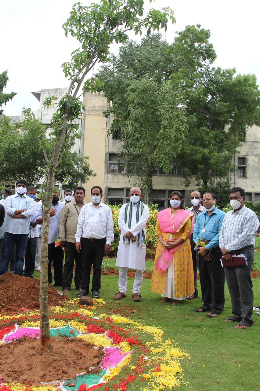  ఉద్యానవనాలు అందంగా తయారు చేశారు