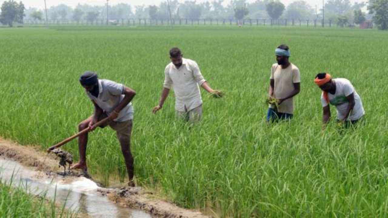 అర్హతలేని రైతుల‌ నుండి  పీఎం కిసాన్ స్కీమ్ న‌గ‌దు వ‌సూల్