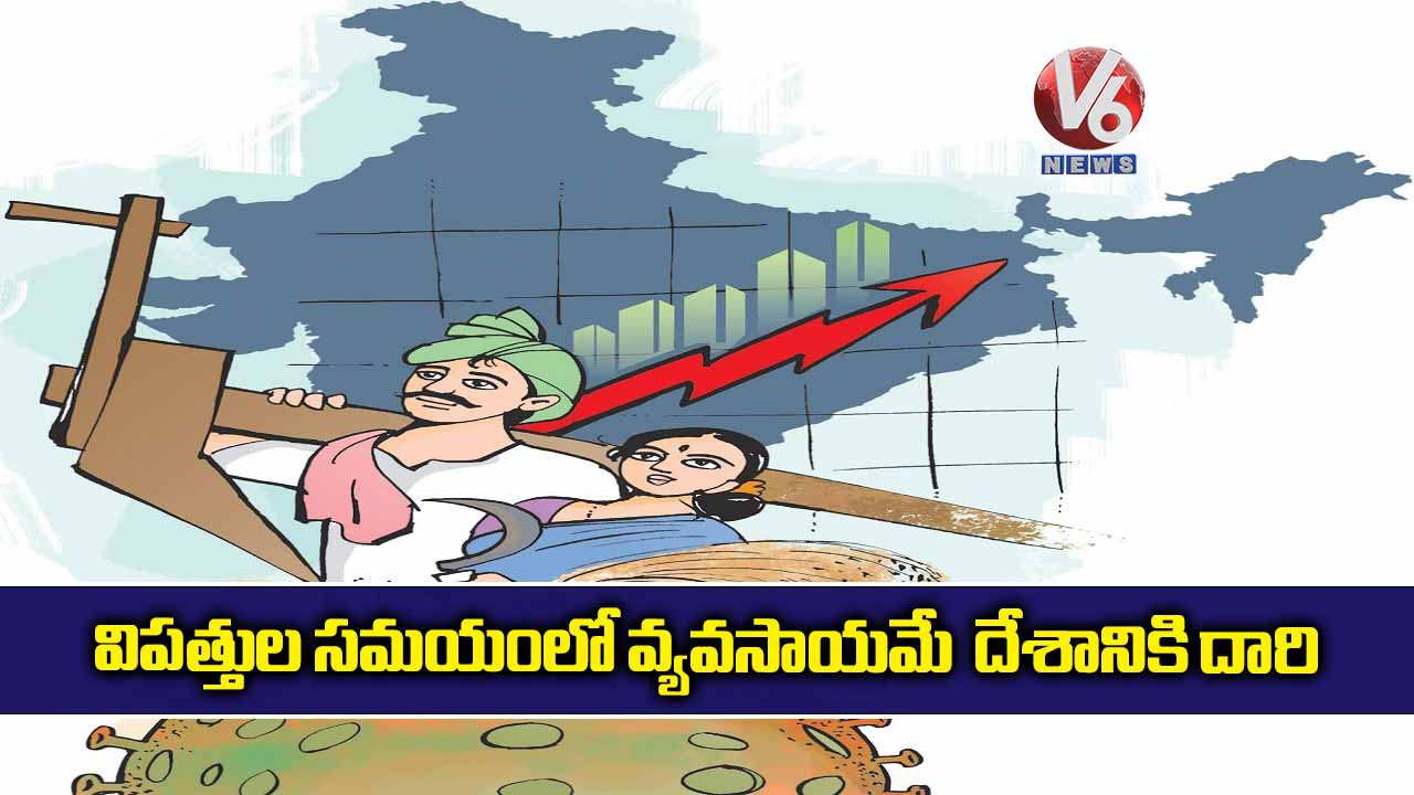 వ్యవసాయంతో అదనపు ఆదాయం