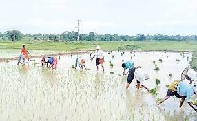 వ్యవసాయ పనుల్లో రైతులు బిజీ బిజీ