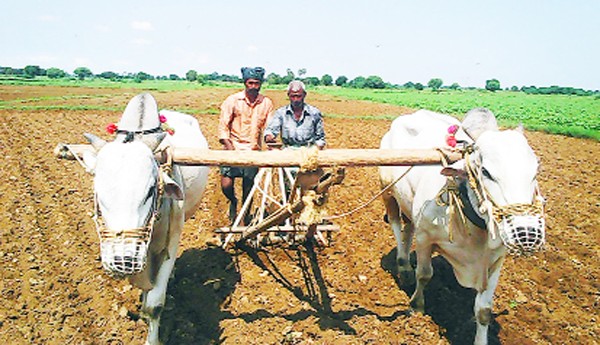 మందకొడిగా ఖరీఫ్