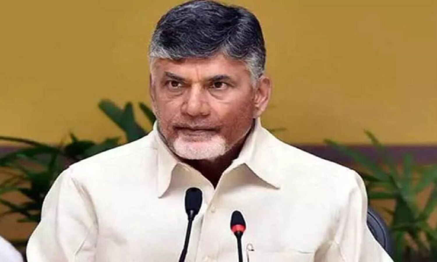 నెల్లూరు అభ్యర్ధులను ప్రకటించిన టీడీపీ