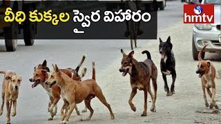 సంగారెడ్డి బాలాజీనగర్ కాలనీలో వీధి కుక్కల వీరంగం