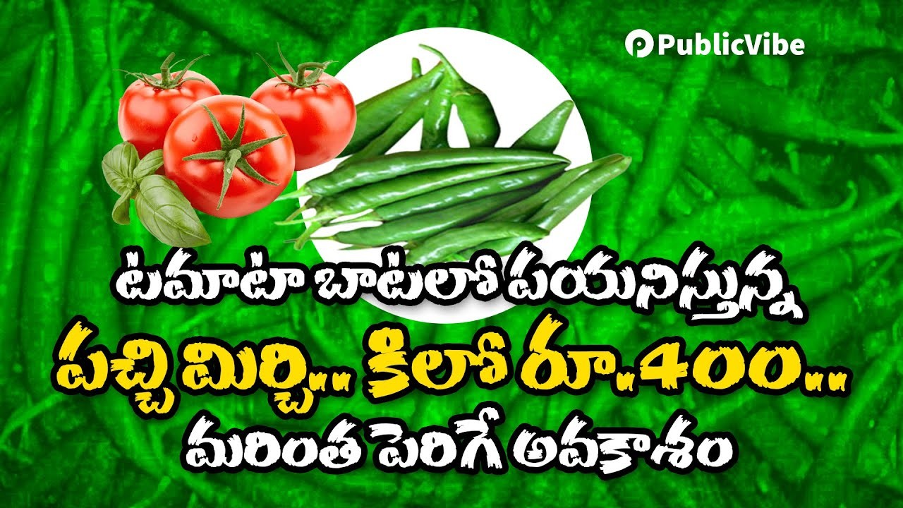 టమాటా బాటలో మిర్చి రూ.400