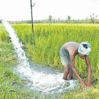 ఎన్నికల దాకా..లైవ్ లోనే ఫ్రీ కరెంట్... పార్టీల వ్యూహం