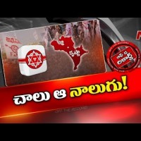 కృష్ణాలో జనసేనకు నాలుగు సీట్లు