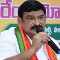  పార్టీ ఎదుగుదలపై ఫోకస్