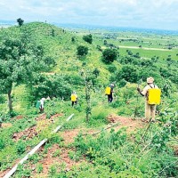 వెదురుగట్టల్లో చిట్టడవి