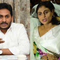 జగన్, షర్మిల... పురందరేశ్వరీ, లోకేష్ వారసుల వార్