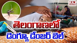 డేంజర్ బెల్ మ్రోగిస్తున్న డెంగీ