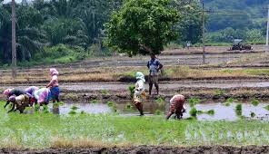 కౌలు రైతులను గుర్తించే పనిలో  సర్కార్...