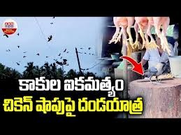 కాకిలో ఉన్న ఐకమత్యం.... మాములుగా లేదుగా