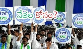 నియోజకవర్గాల్లో నేతల కరువు మార్చిన వారిలో ఒక్కరే గెలుపు