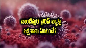 4 రాష్ట్రాల్లో  వైరస్.....