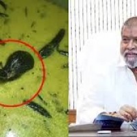 చట్నీలో ఎలుక మంత్రి దామోదర ఆగ్రహం