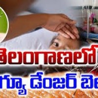 డేంజర్ బెల్ మ్రోగిస్తున్న డెంగీ