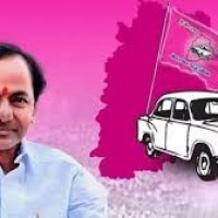 గులాబీకి దక్కని సానుభూతి...