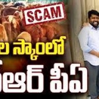 గొర్రెల స్కామ్ లో కేటీఆర్ పీఏ ?