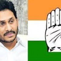 జగన్ కు కాంగ్రెస్ మద్దతు...