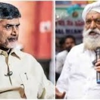 జేసీ ఫ్యామిలీలో అసంతృప్త సెగలు...