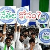 నియోజకవర్గాల్లో నేతల కరువు మార్చిన వారిలో ఒక్కరే గెలుపు