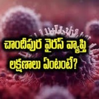 4 రాష్ట్రాల్లో  వైరస్.....