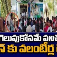 నమ్ముకున్న వలంటీర్లే దెబ్బ వేసేశారా....