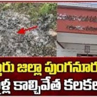 పుంగనూరులో ప్రభుత్వ  ఫైళ్ల కాల్చివేత కలకలం