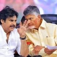 సామాజిక కోణంలోనే విప్ ల భర్తీ