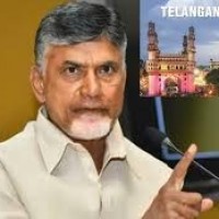 తెలంగాణలో టీడీపీ  ఫోకస్....