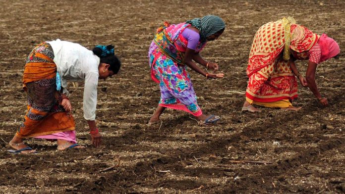 నుతన వ్యవసాయ సంస్కరణ   సాగు చట్థాలను రద్దు చేయాలి ఏపీ వ్యవసాయ కార్మిక సంఘం డిమాండ్