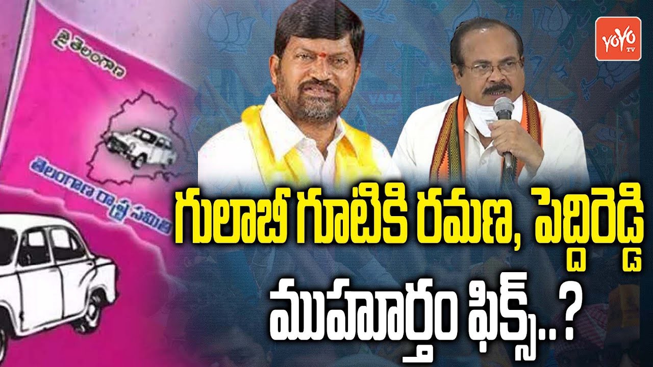 గులాబీ గూటికి రమణ, పెద్దిరెడ్డి...?