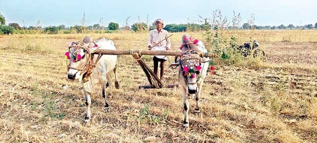 కనిపించని ఏరువాక సందడి