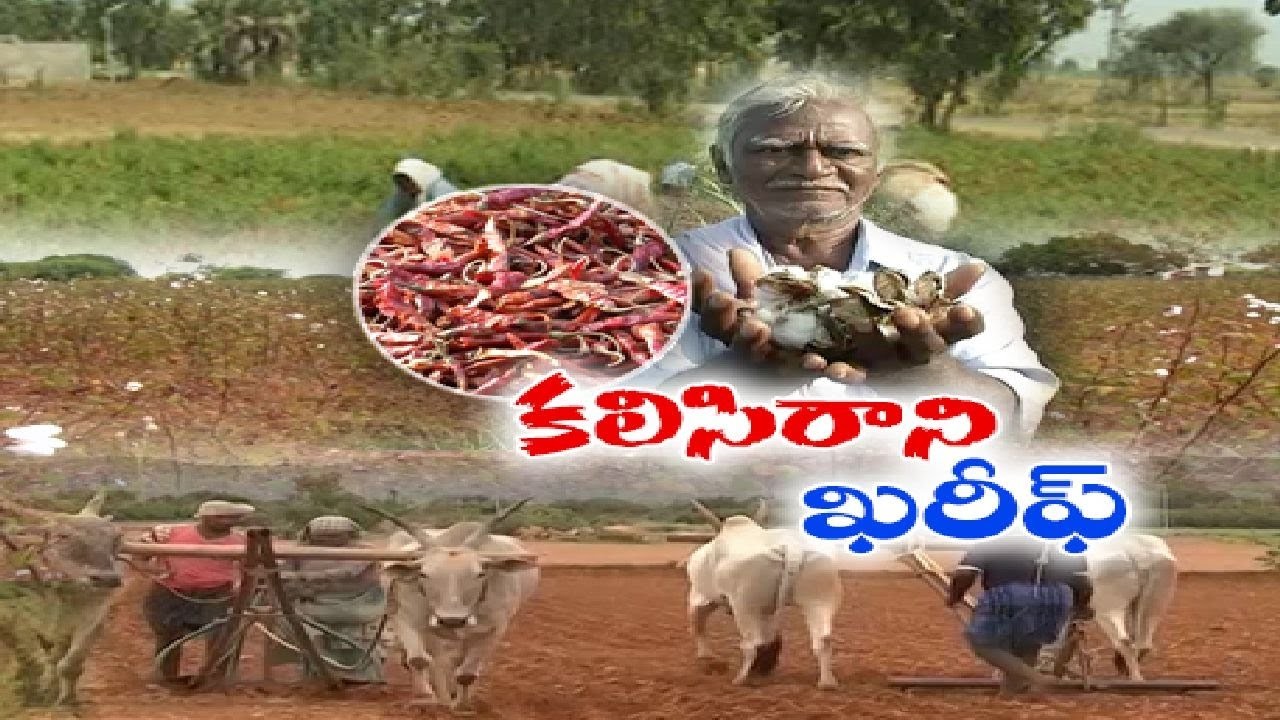 పలకరించని తొలకరి... సాగెలా...