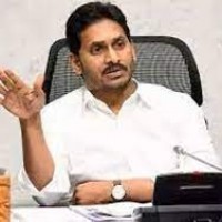 క్యాడర్ ను సిద్ధం చేసే పనిలో వైసీసీ