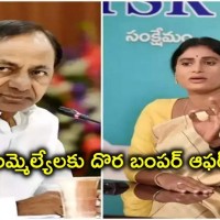 ఎమ్మెల్యేలే దళితబంధు రాబందులు