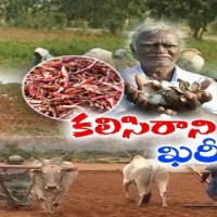 పలకరించని తొలకరి... సాగెలా...