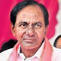 గులాబీలో అంతర్మధనం...