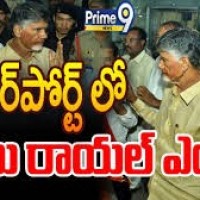 గన్నవరం విమానాశ్రయానికి చేరుకున్న చంద్రబాబు