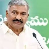 పెద్దిరెడ్డి పని పడతారా...