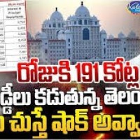 రోజుకు 191 కోట్లు...