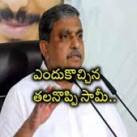 సెలవుల్లో ఉన్నత అధికారులు