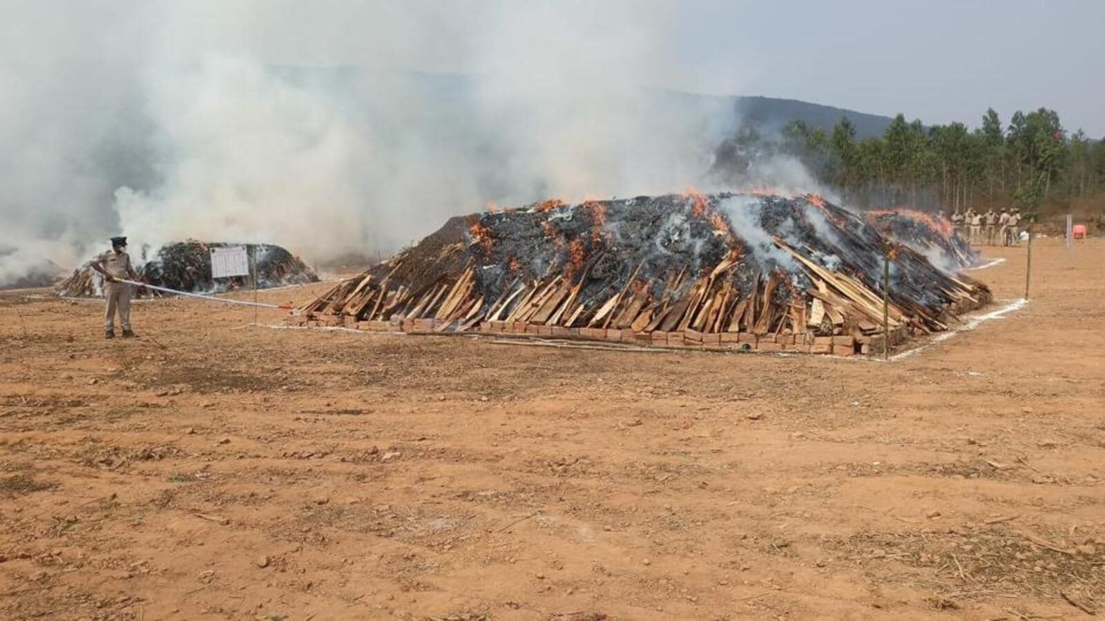 గంజాయిని దగ్దం చేసిన పోలీసులు