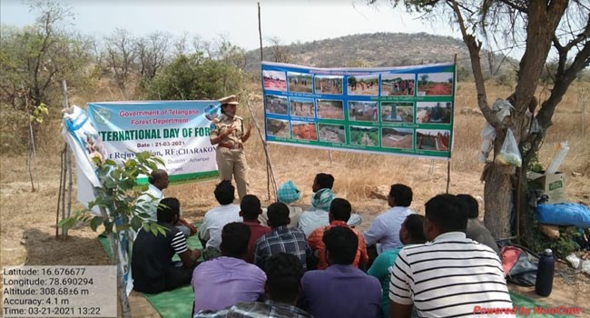 ఘ‌నంగా ప్ర‌పంచ అట‌వీ దినోత్సవ‌ వేడుక‌లు